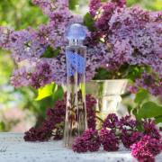 Photo by Sweet Orchid