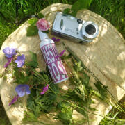 Photo by Lady Winter