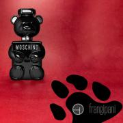 moschino toy boy macy's