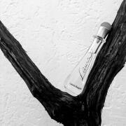 Photo by Ночной дождь