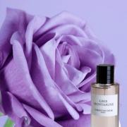 Gris Montaigne Dior perfume - a fragrance for women 2013