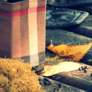 burberry london fragrantica