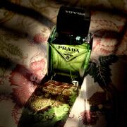 Photo by Shafi Ahmed