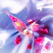 Photo by ЮлияЛето