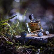 Terre d'Hermes Parfum Hermès cologne - a fragrance