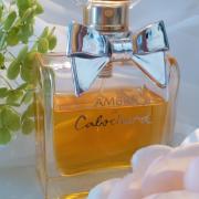 ambre de cabochard grès eau de toilette 100 ml