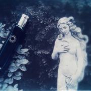 Eau de Narcisse Bleu Hermès perfume - a fragrance for women and