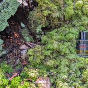 Photo by Louche_Bouche