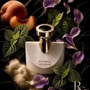 Splendida Patchouli Tentation Bvlgari perfume - a fragrância
