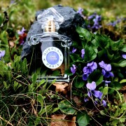 Après L'Ondée Eau de Toilette Guerlain perfume - a fragrância