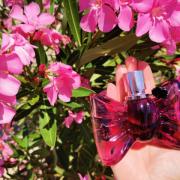 Bonbon Viktor&amp;Rolf perfume - a fragrance for women 2014