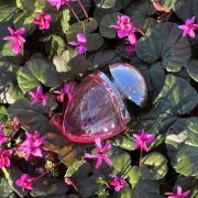 Photo by Yellow Pollen