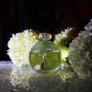 Noa Cacharel perfume - a fragrance for women 1998