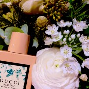 Gucci Bloom Acqua di Fiori Gucci perfume - a fragrância Feminino 2018