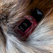 Santal Pao Rosa Guerlain perfume - a fragrance for women and Santal Pao Rosa Guerlain perfume - a fragrance for women and