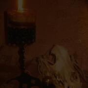 Photo by Vibia Sabina