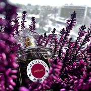 Photo by MariyaSobol