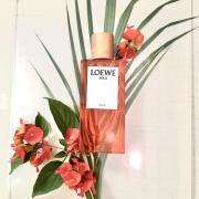 Loewe Vaporisateur D´eau De Parfum Solo Ella 100ml Marron