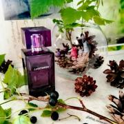 lalique amethyst fragrantica