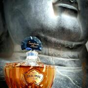 Photo by LOST_HORIZON