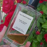 Rose Rouge Van Cleef & Arpels parfüm - kadınlar ve erkekler için