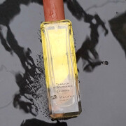 jo malone tobacco and mandarin Tobacco & Mandarin Jo Malone London perfume