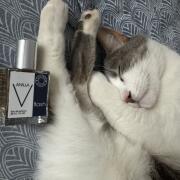 Photo by Marian Rabi Irimia