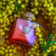 Guidance 46 Amouage perfumy - to nowe perfumy dla kobiet i
