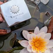 Photo by anastasiagurschi86