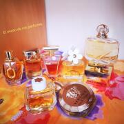 Photo by Perla Vencis