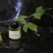 Photo by Олла-ля