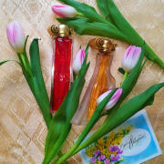 Photo by Lady Winter