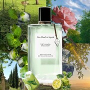 Thé Amara Van Cleef & Arpels 香水 - 2023年のユニセックス フレグランス