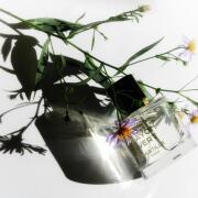 Photo by Олла-ля