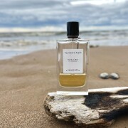 Bois d'Iris Van Cleef & Arpels 香水- 一款2009年女用香水