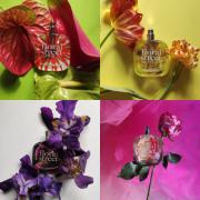Neon Rose Floral Street perfume - a fragrance for women and men 2017