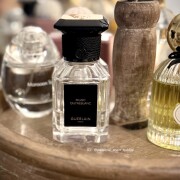Musc Outreblanc Guerlain parfum - un parfum unisex 2022