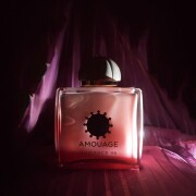 Guidance 46 Amouage 香水- 一款2024年中性香水