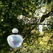 Pure Poison Elixir Dior 香水- 一款2006年女用香水