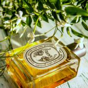 Diptyque discount olene fragrantica