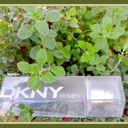 DKNY Women Donna Karan perfume - a fragrance for women 1999