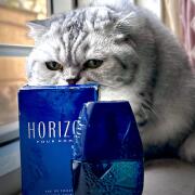 Horizon Guy Laroche cologne - a fragrance for men 1993