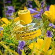 harlem bloom perfume