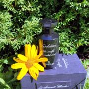 Le Solstice Moncler perfume - a new fragrance for women and