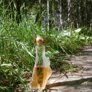 Photo by Lady Winter