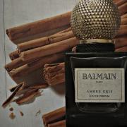 last her Advarsel Ambre Gris Pierre Balmain parfum - un parfum pour femme 2008