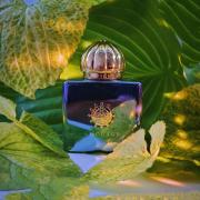 Figment Woman Amouage perfume a fragrance for women 2017