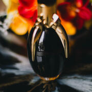 Fame Lady Gaga perfumy - to perfumy dla kobiet 2012