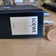 Photo by Mario Todorov