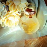 Photo by ЮлияЛето